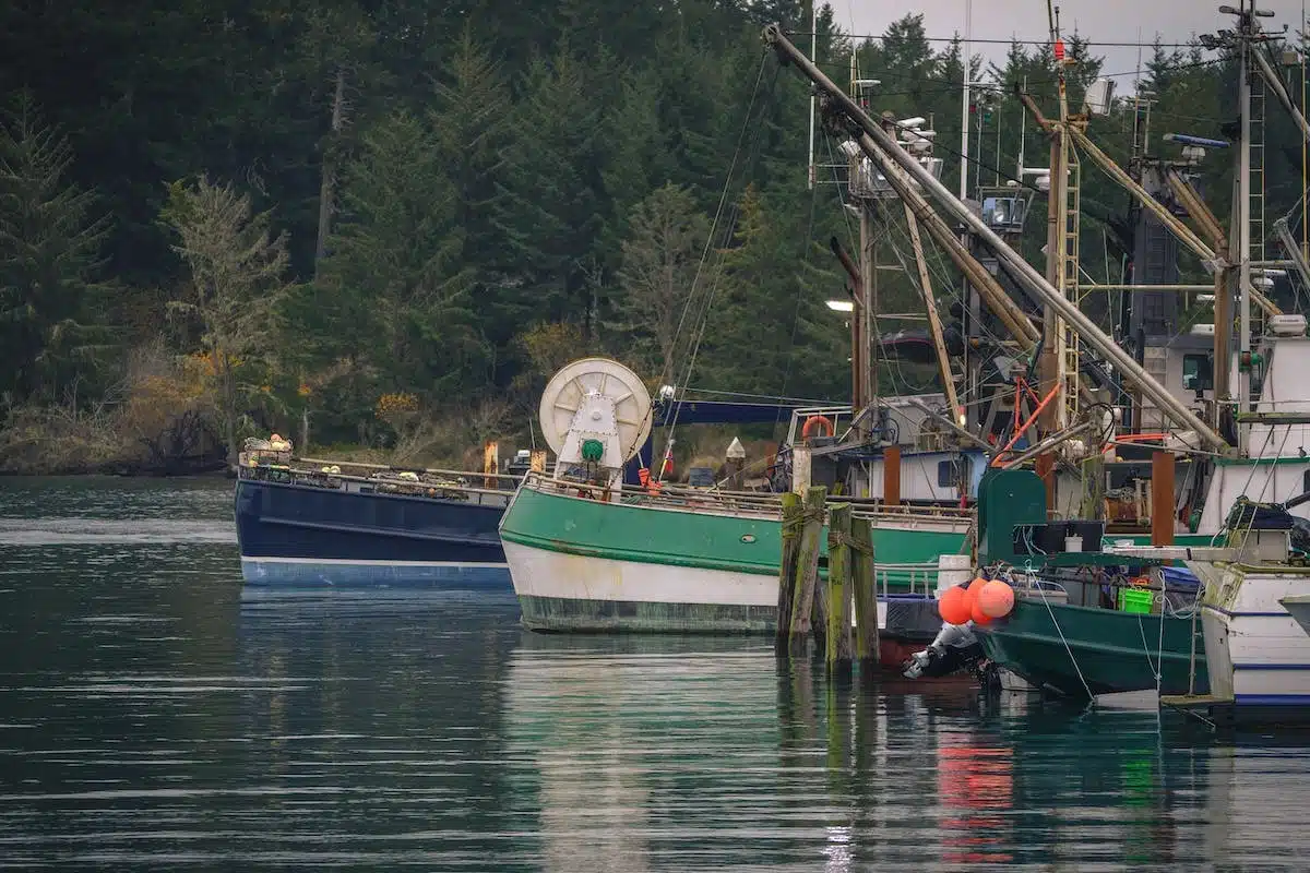 bretagne pêche