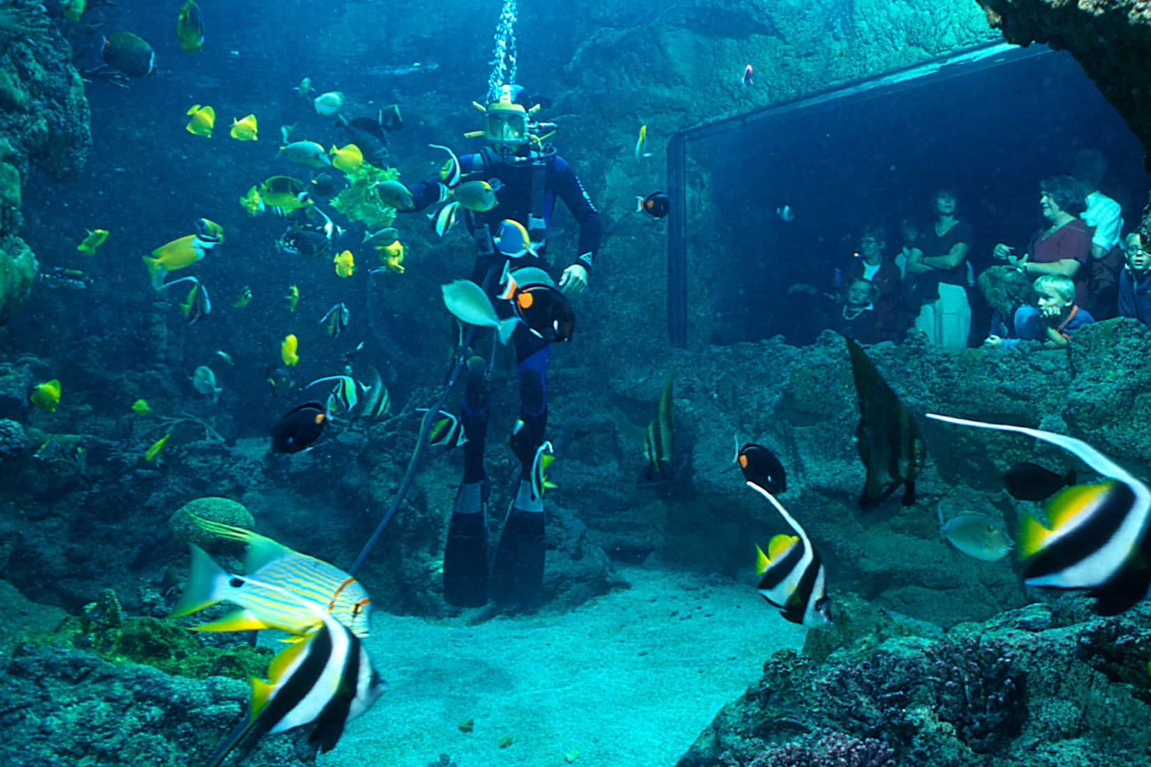 Visiter Brest pour découvrir Océanopolis