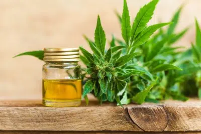 bienfaits du cannabidiol