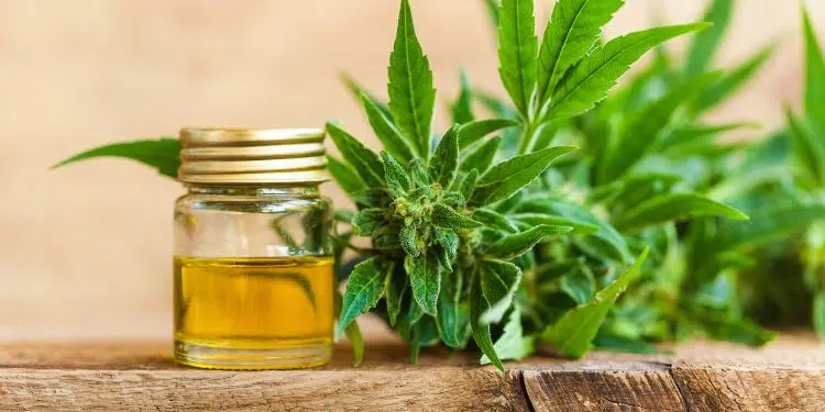 bienfaits du cannabidiol