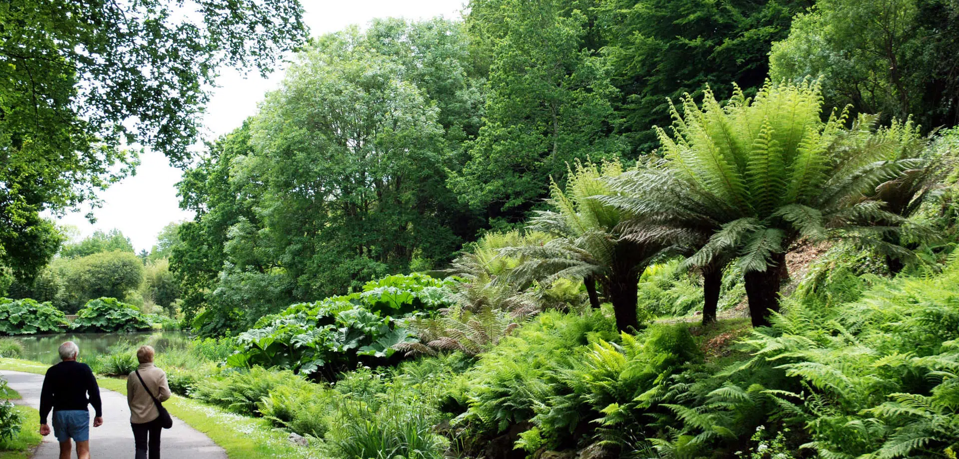 Le conservatoire botanique de Brest