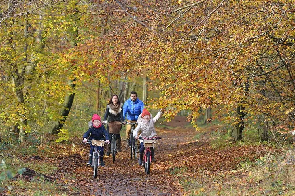 activité à pratiquer en Bretagne