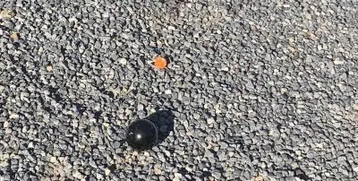 Cochonnet et boule de pétanque sur le terrain de la coupe