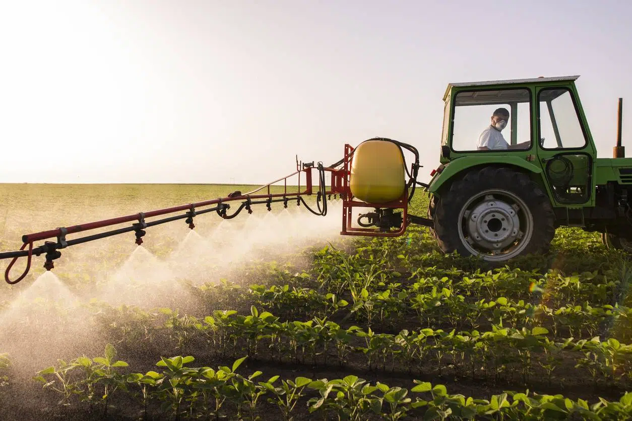 pulvérisation d'un champ agricole